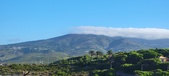 Enlarge photo 1009
