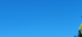 Enlarge photo 1031