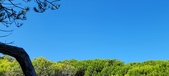 Enlarge photo 1032