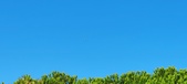 Enlarge photo 1033