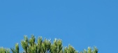 Enlarge photo 1034