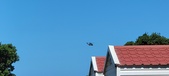 Enlarge photo 1036