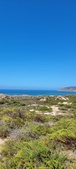 Enlarge photo 1045