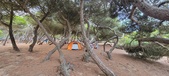 Enlarge photo 1054