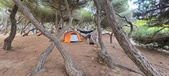 Enlarge photo 1055