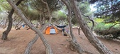 Enlarge photo 1056