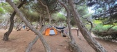 Enlarge photo 1057