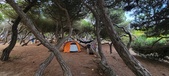 Enlarge photo 1058
