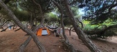 Enlarge photo 1059