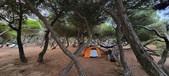 Enlarge photo 1060