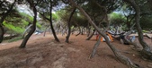 Enlarge photo 1061
