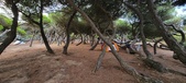 Enlarge photo 1062