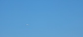 Enlarge photo 1081