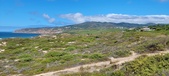 Enlarge photo 1099