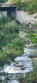 Enlarge photo 61