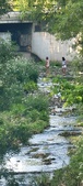 Enlarge photo 62