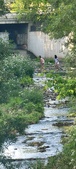 Enlarge photo 63
