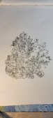 Enlarge photo 84