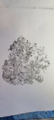 Enlarge photo 86