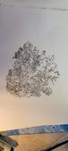 Enlarge photo 85