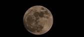 Enlarge photo 35