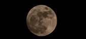 Enlarge photo 36
