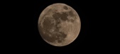 Enlarge photo 37