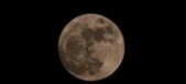 Enlarge photo 40