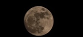 Enlarge photo 39