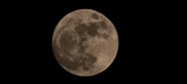 Enlarge photo 38