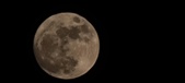 Enlarge photo 41