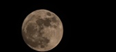 Enlarge photo 42