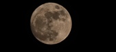 Enlarge photo 43