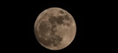 Enlarge photo 44