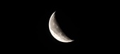Enlarge photo 113
