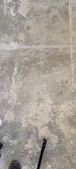 Enlarge photo 130
