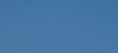 Enlarge photo 149