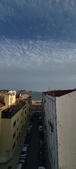 Enlarge photo 92