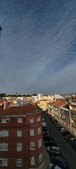 Enlarge photo 95