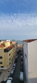 Enlarge photo 97
