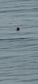 Enlarge photo 146