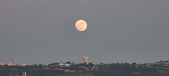 Enlarge photo 155