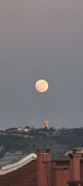 Enlarge photo 157