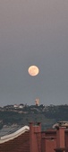 Enlarge photo 158