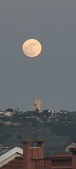 Enlarge photo 161