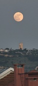 Enlarge photo 162