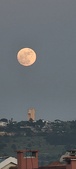 Enlarge photo 163