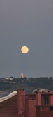 Enlarge photo 170