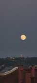 Enlarge photo 171