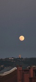 Enlarge photo 172